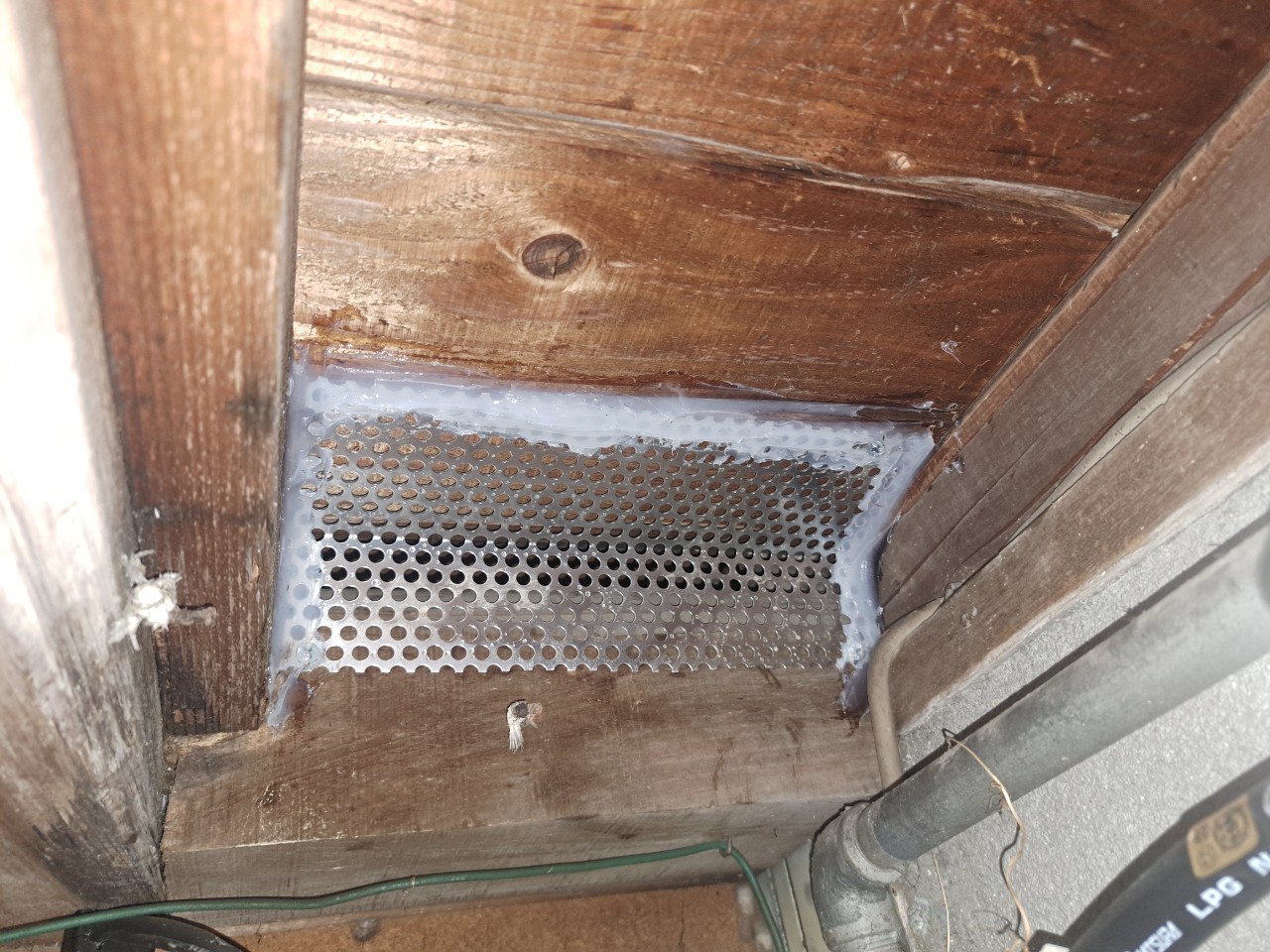 佐賀県佐賀市　アライグマによる被害　N様邸　駆除実績