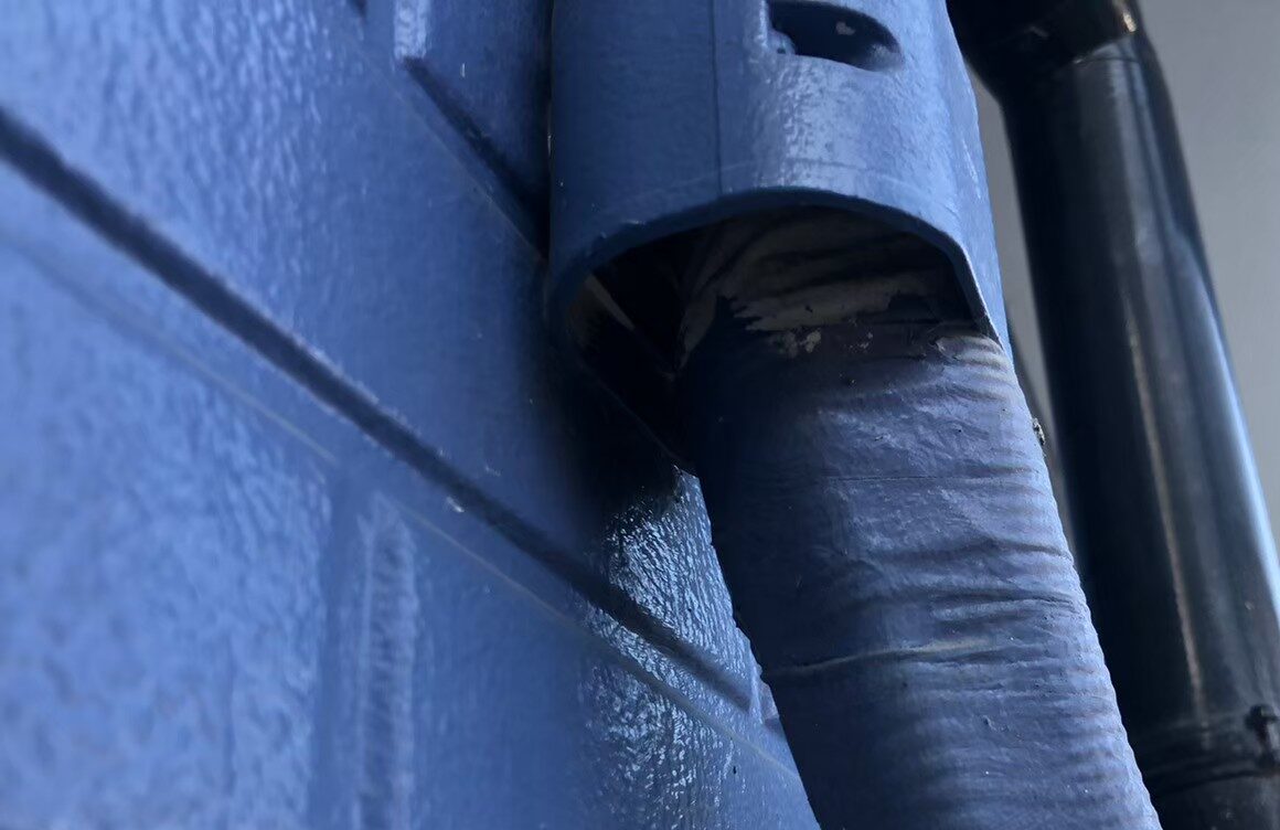 福岡県久留米市　ネズミによる被害　H様邸　駆除実績