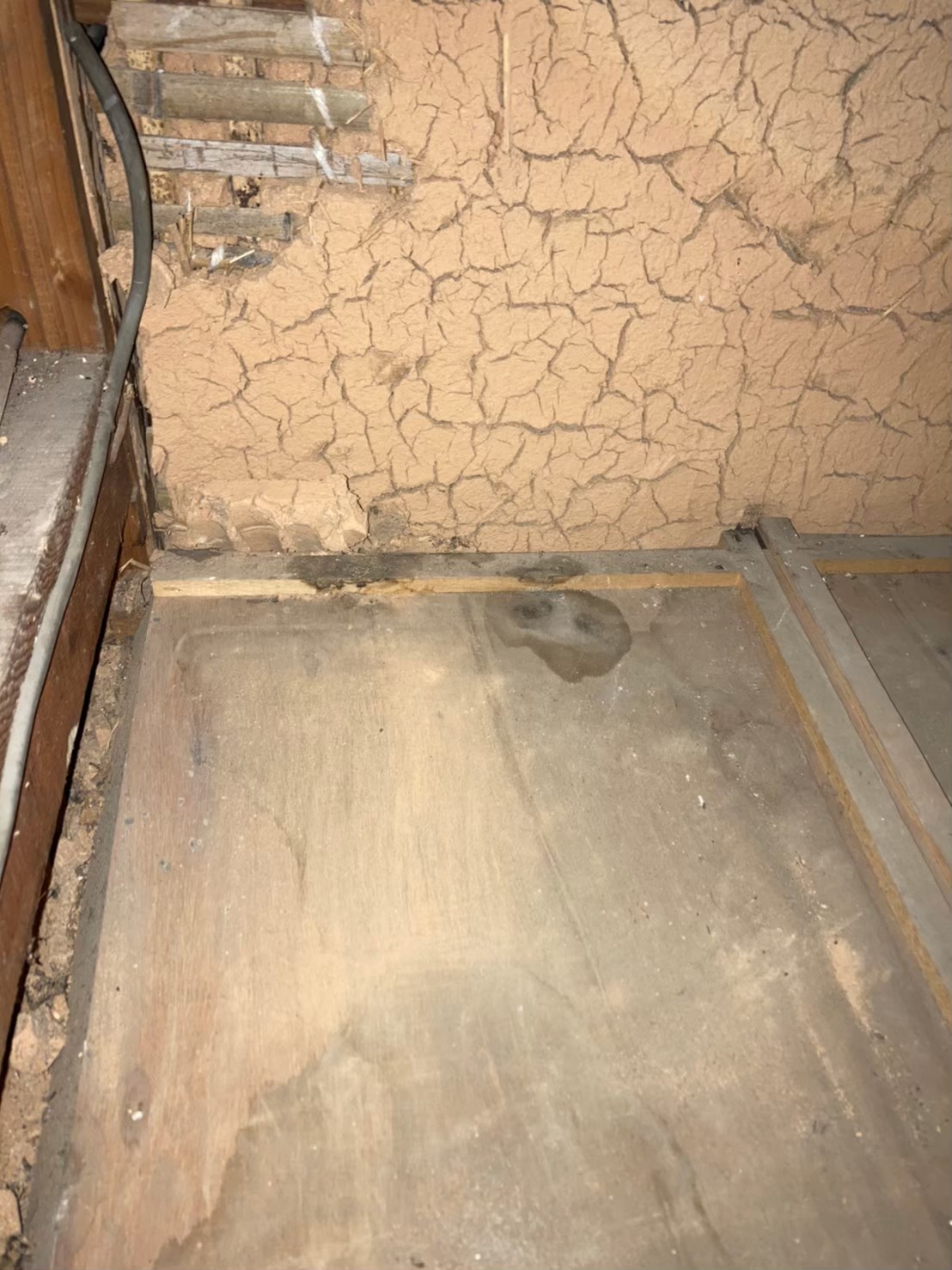 アライグマによる被害　Y様邸　駆除実績