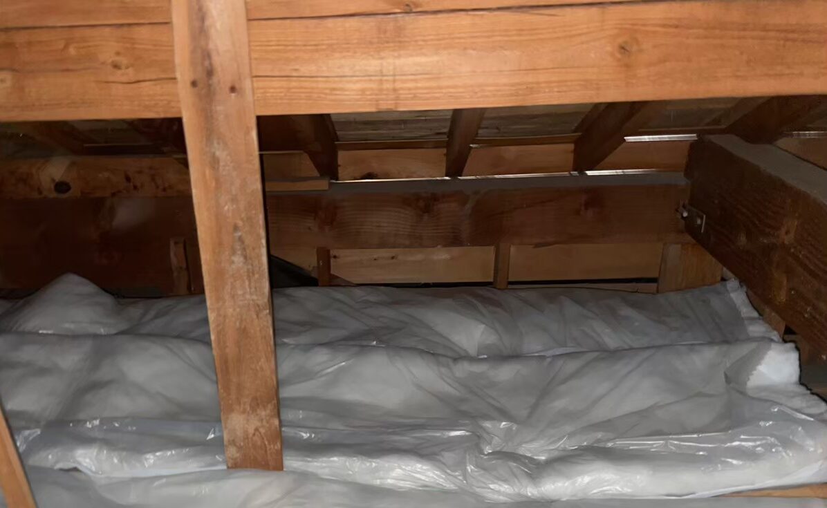 福岡県大野城市　イタチによる被害　T様邸　駆除実績