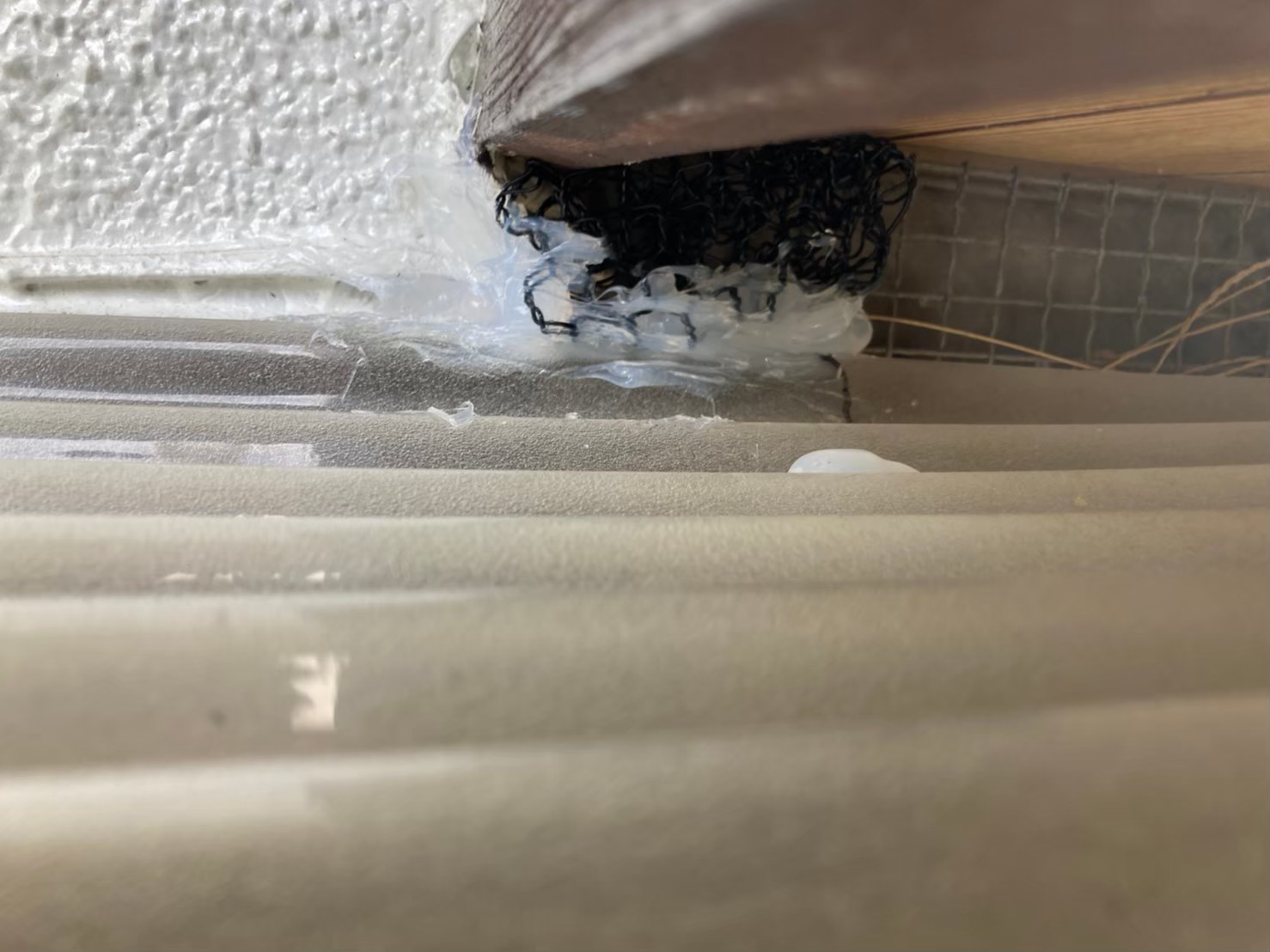 コウモリによる被害　S様邸　駆除実績