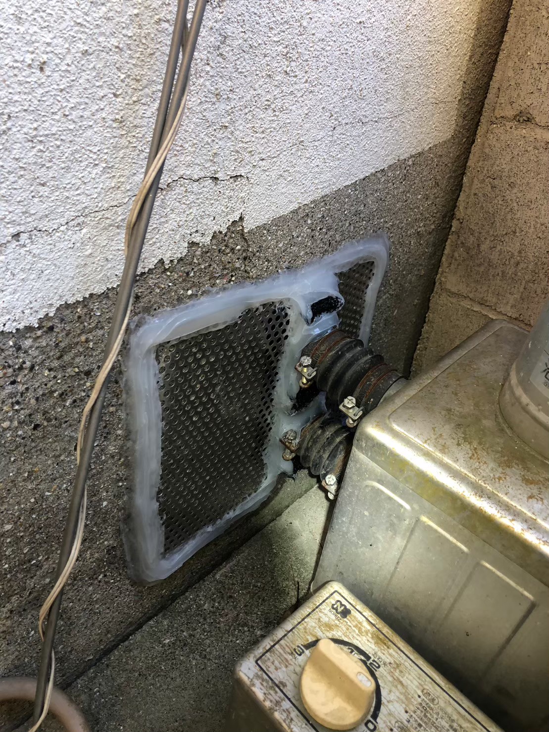 福岡県糟屋郡篠栗町　イタチによる被害　T様邸　駆除実績