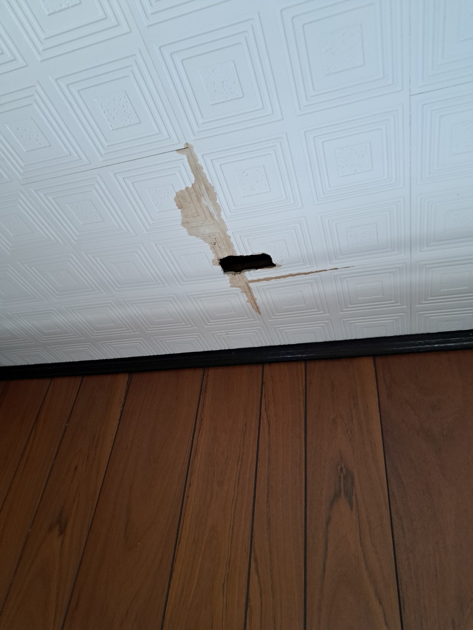 福岡県朝倉市　アライグマによる被害　M様邸　駆除実績