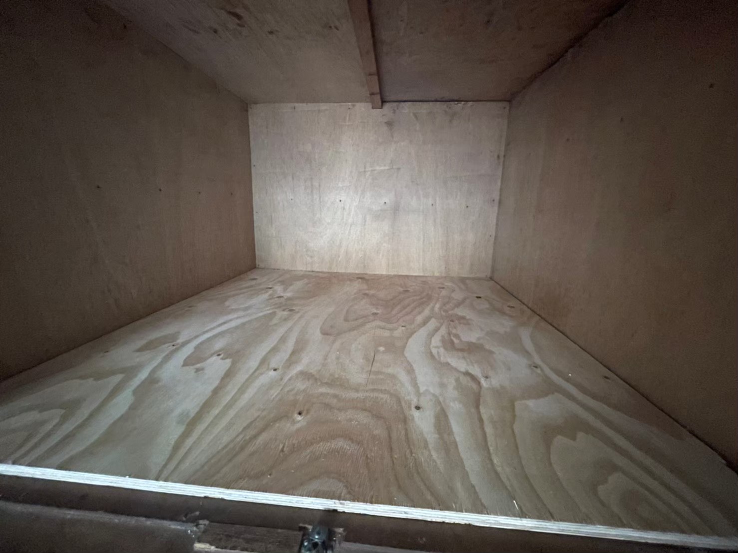 佐賀県伊万里市　アライグマによる被害　K様邸　駆除実績