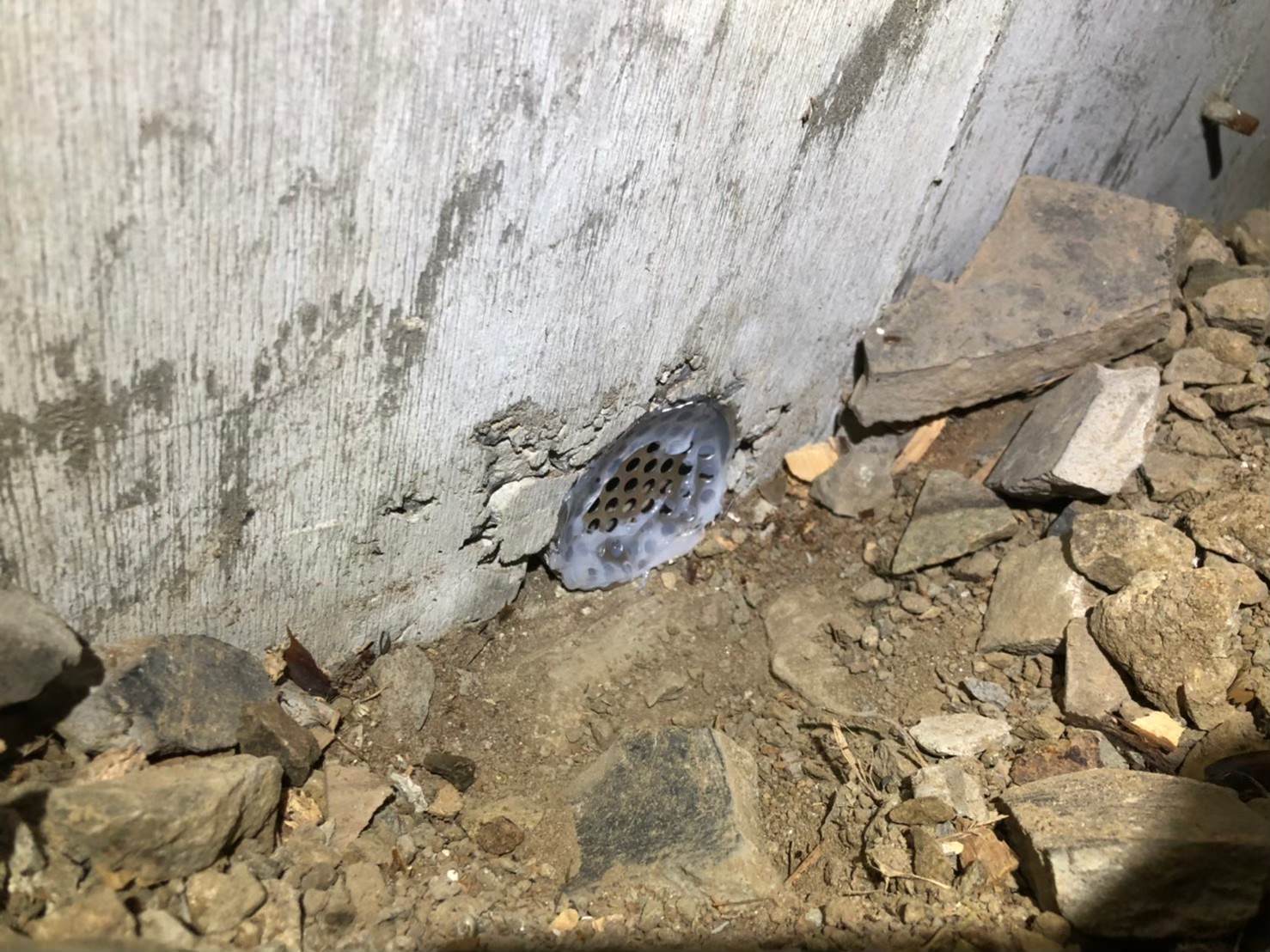 福岡県柳川市　ネズミによる被害　M様邸　駆除実績