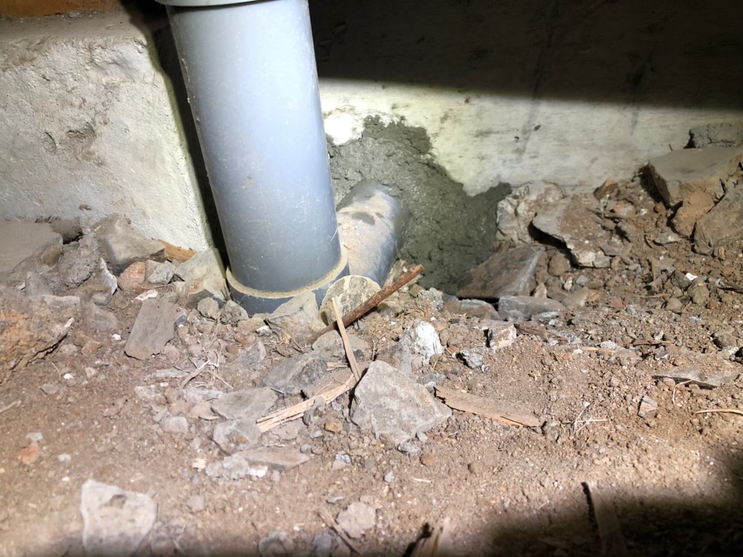 福岡県行橋市　ネズミによる被害　A様邸　駆除実績