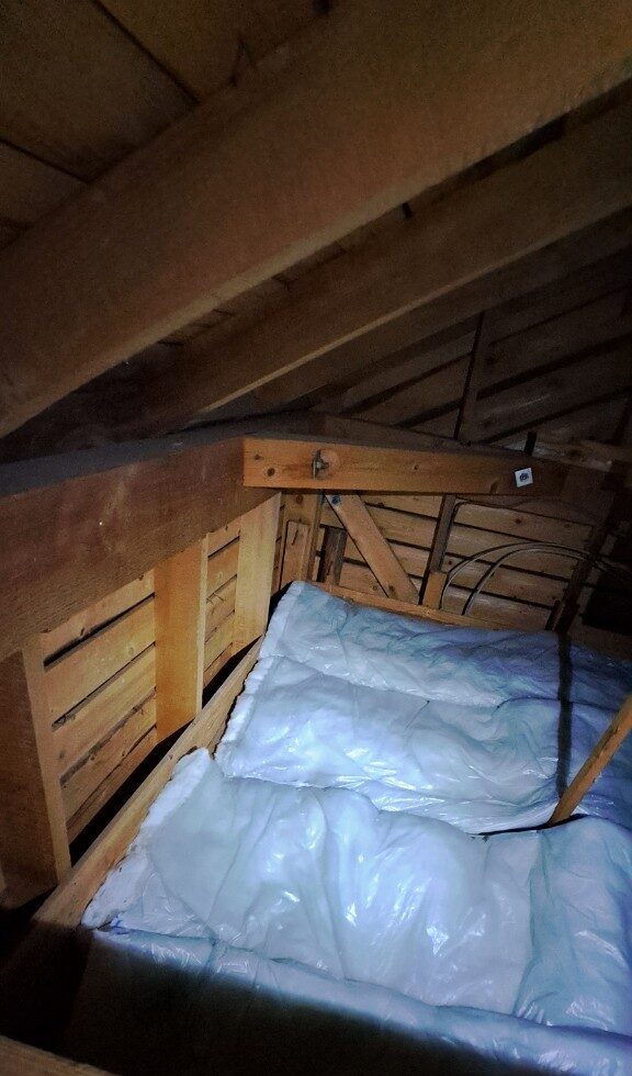 佐賀県鳥栖市　イタチによる被害　N様邸　駆除実績