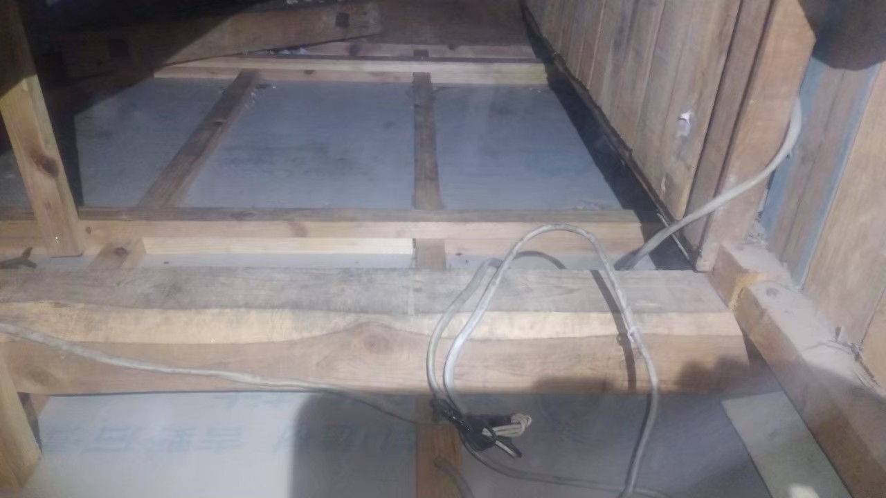 福岡県柳川市　アライグマによる被害　E様邸　駆除実績