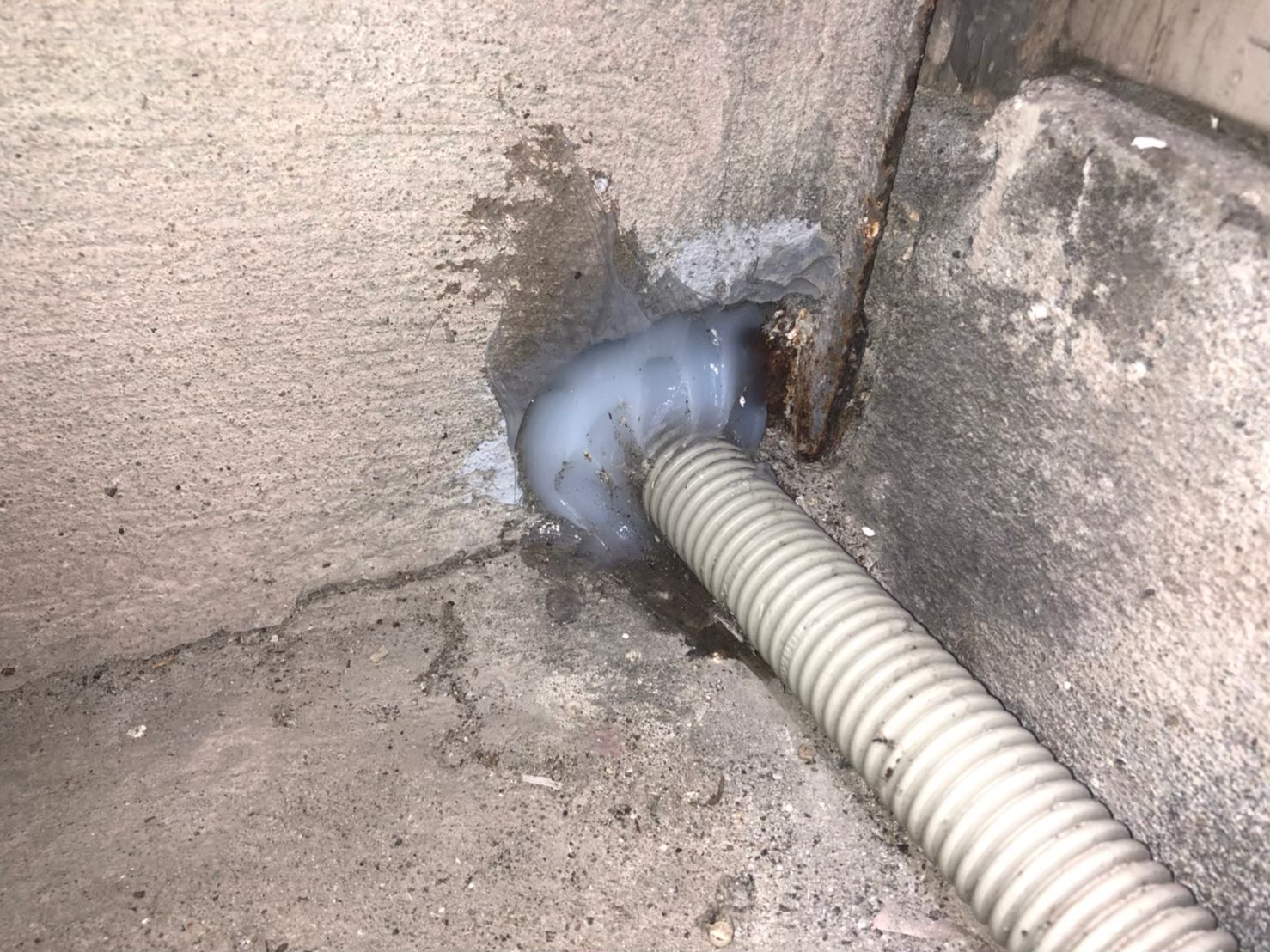 佐賀県小城市　ネズミによる被害　M様邸　駆除実績