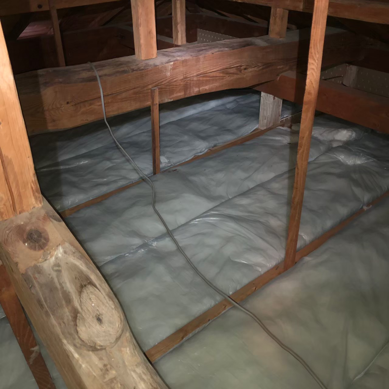 福岡県朝倉市　イタチによる被害　H様邸　駆除実績