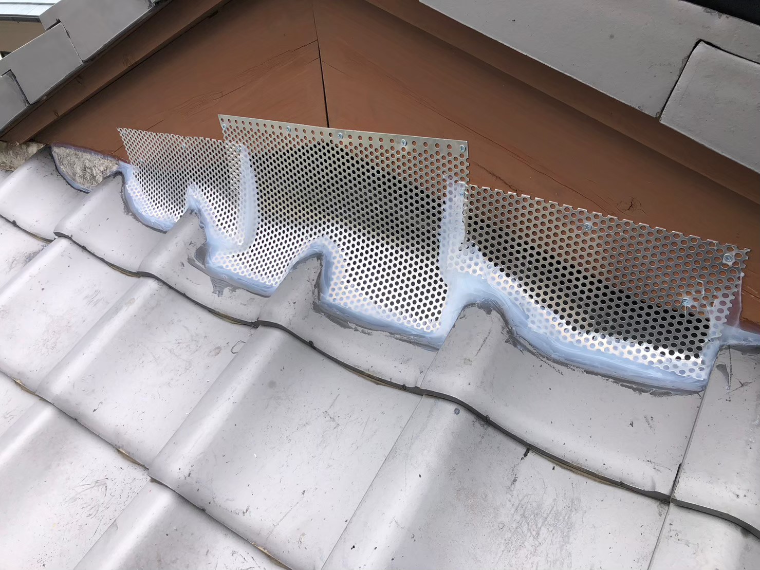 佐賀県唐津市　アライグマによる被害　I様邸　駆除実績