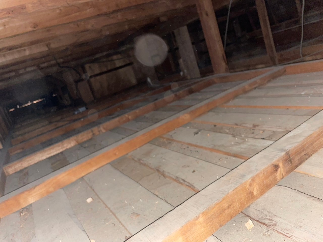 福岡県うきは市　アライグマによる被害　K様邸　駆除実績