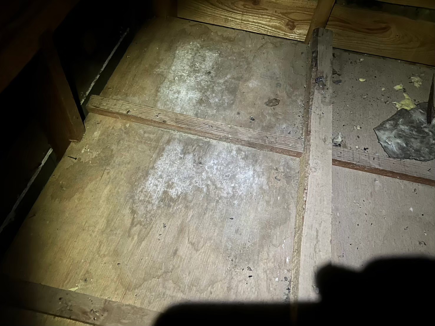 佐賀県 三養基郡みやき町　アライグマによる被害　A様邸　駆除実績