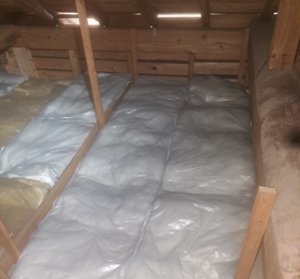 福岡県小郡市　イタチによる被害　I様邸　駆除実績