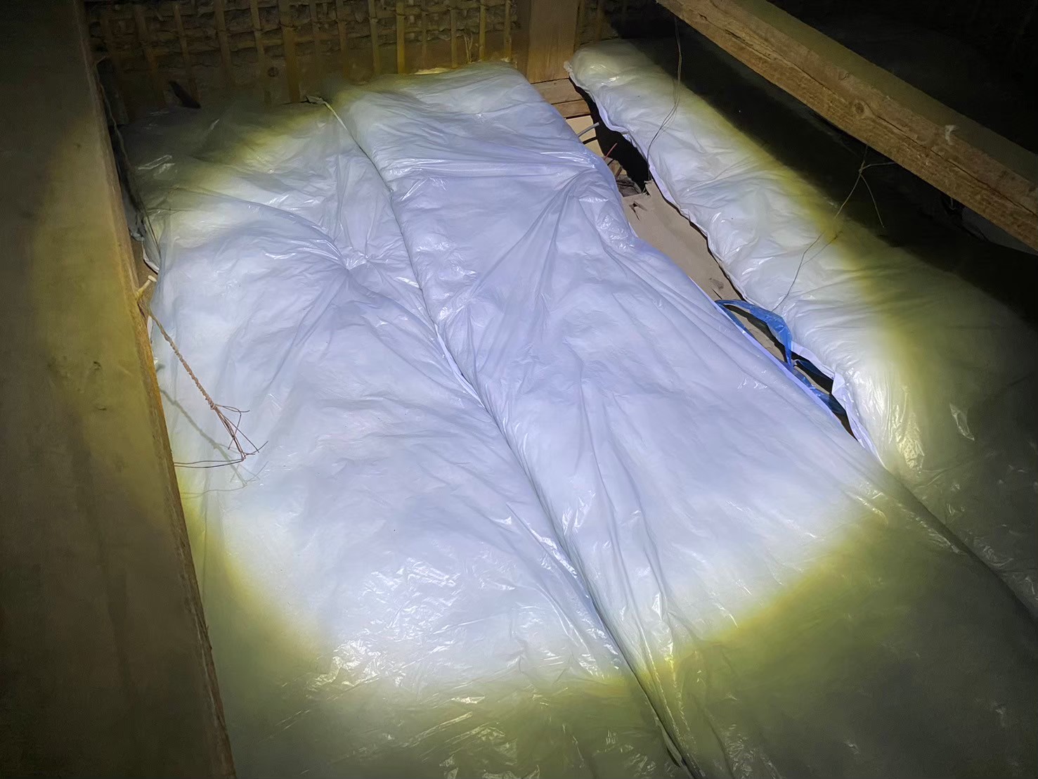 佐賀県佐賀市　アライグマによる被害　T様邸　駆除実績