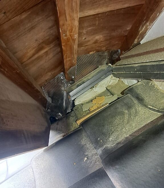 福岡県大野城市　イタチによる被害　M様邸　駆除実績