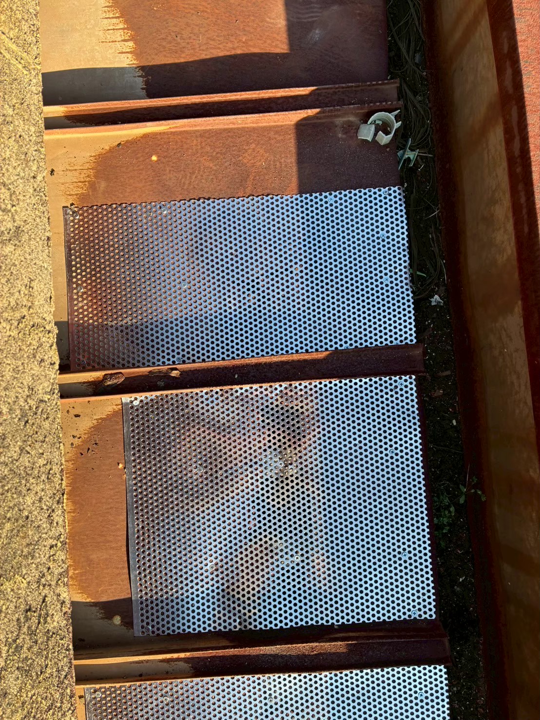 佐賀県鳥栖市　アライグマによる被害　H様邸　駆除実績