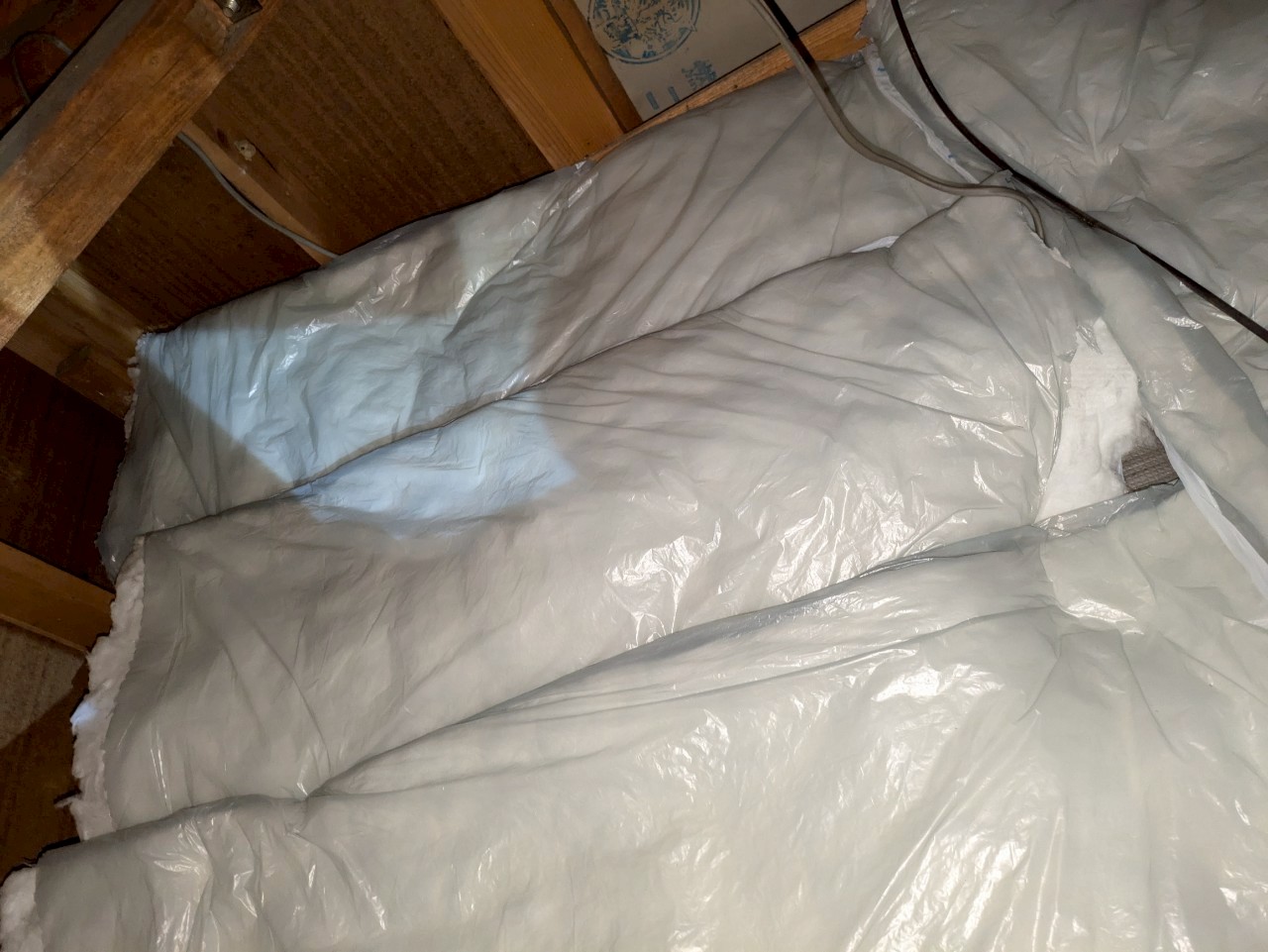 福岡県大野城市　アライグマによる被害　S様邸　駆除実績