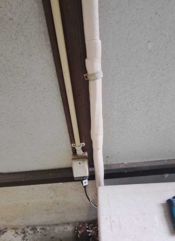 佐賀県嬉野市　イタチによる被害　W様邸　駆除実績