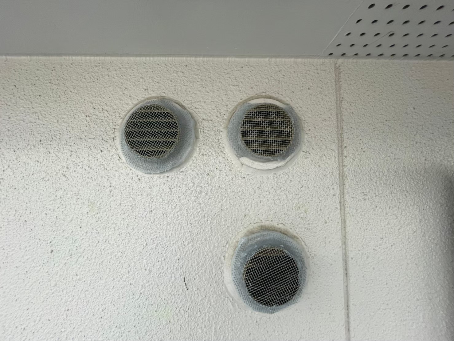 コウモリによる被害　Y様邸　駆除実績