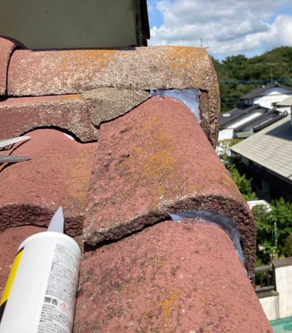 イタチによる被害　S様邸　駆除実績