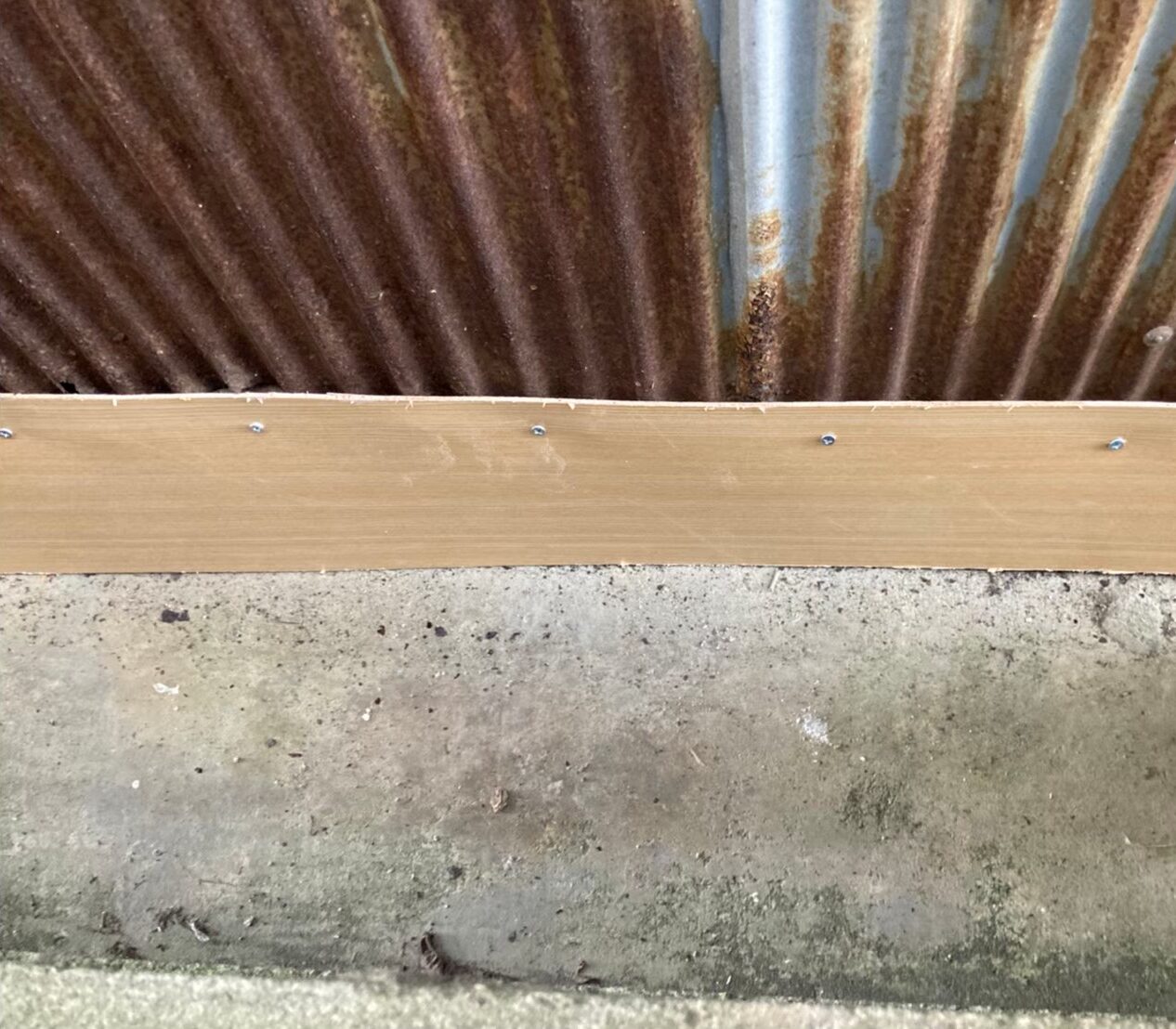 アライグマによる被害　Y様邸　駆除実績