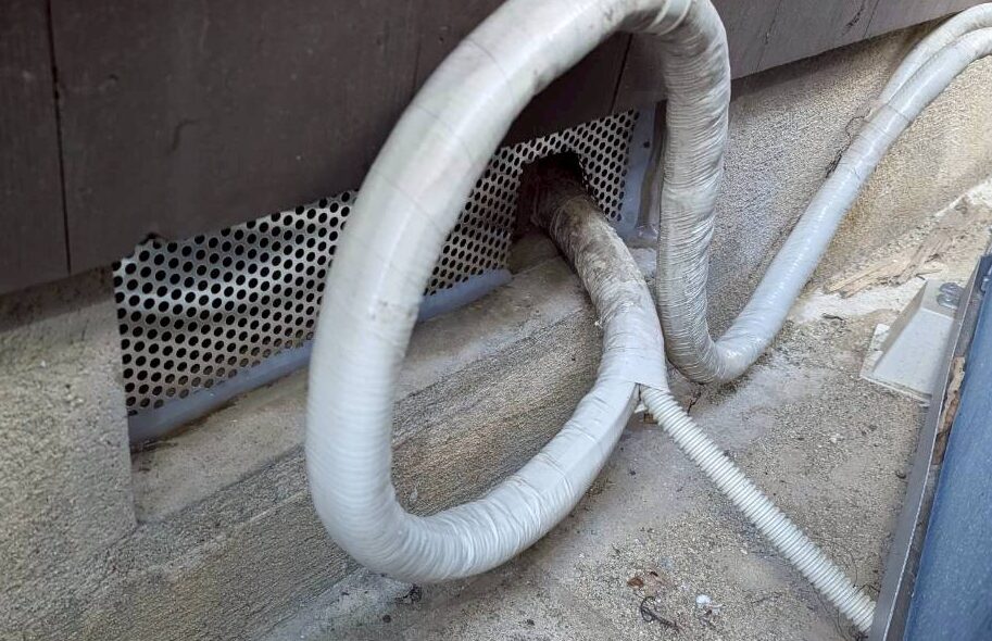 佐賀県有田町　アライグマによる被害　H様邸　駆除実績