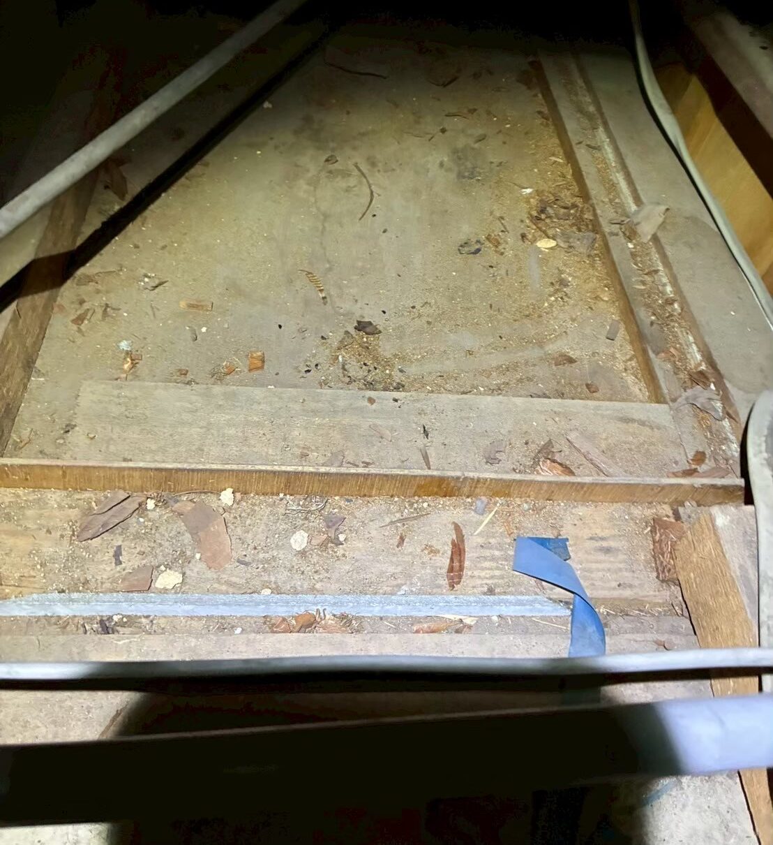 福岡県北九州市　イタチによる被害　E様邸　駆除実績