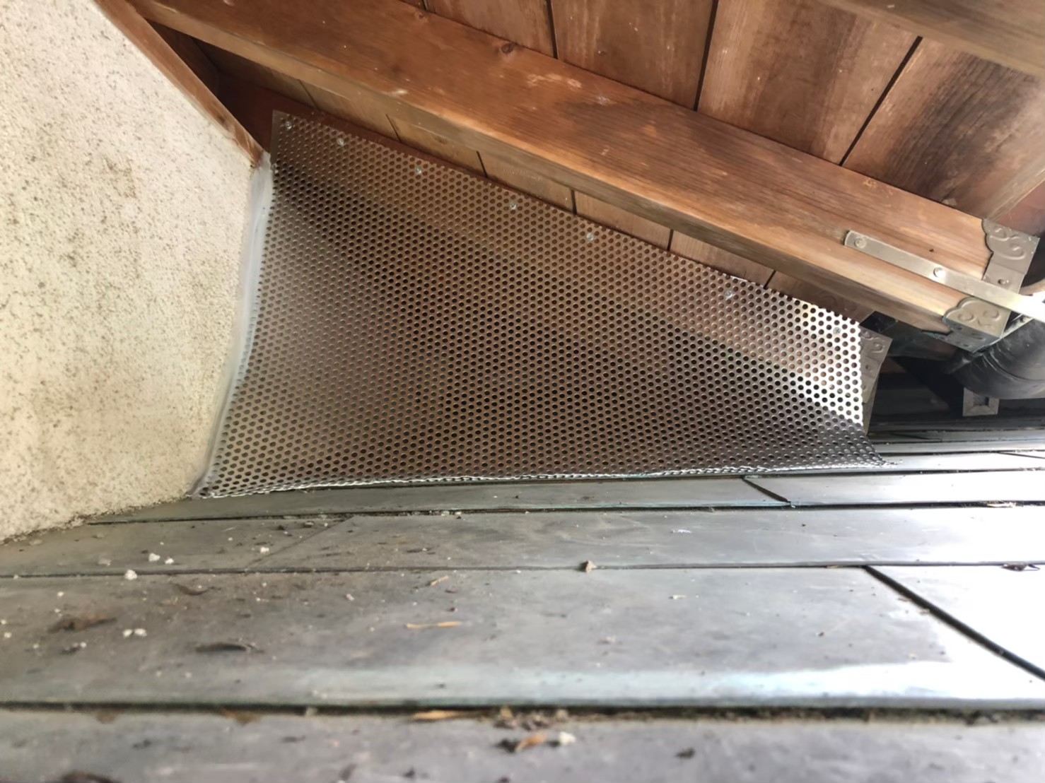 福岡県久留米市　アライグマによる被害　U様邸　駆除実績