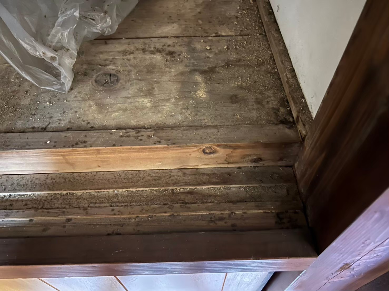 佐賀県うきは市　イタチによる被害　G様邸　駆除実績