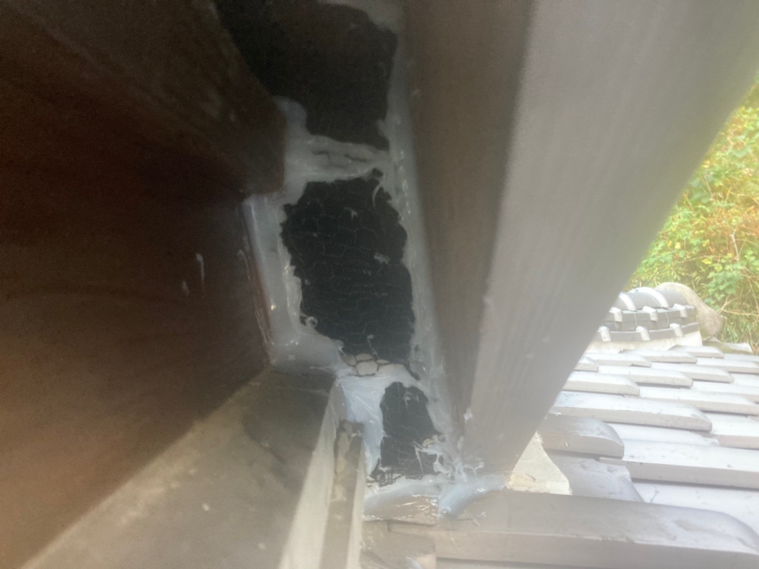 佐賀県多久市　イタチによる被害　A様邸　駆除実績