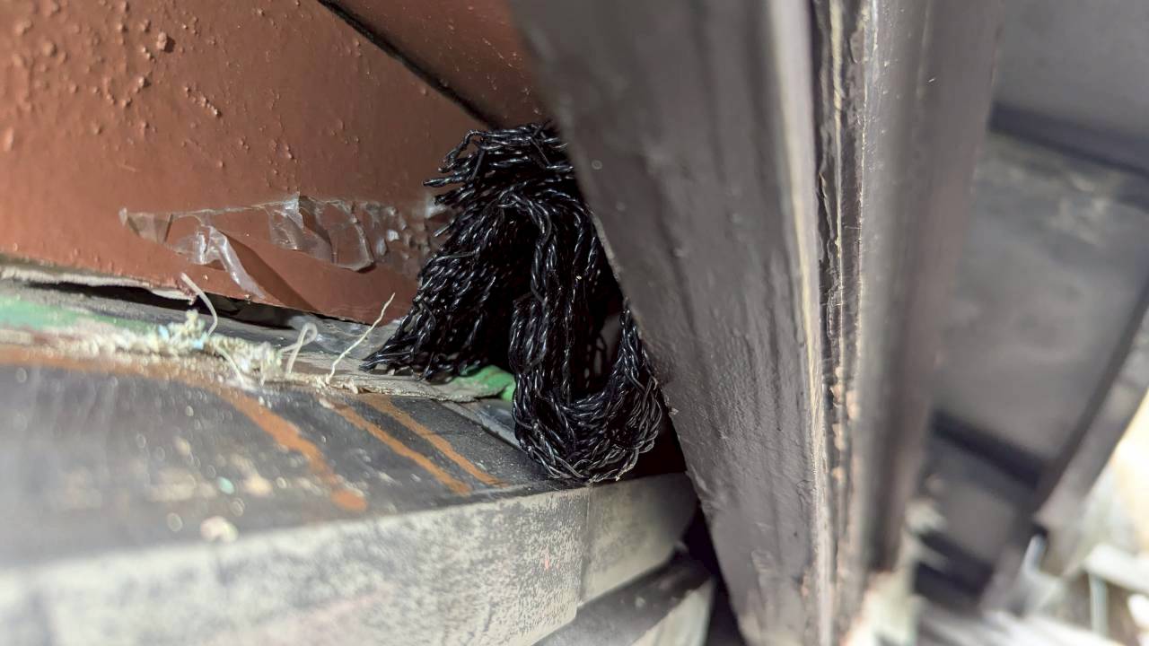 佐賀県唐津市　アライグマによる被害　E様邸　駆除実績