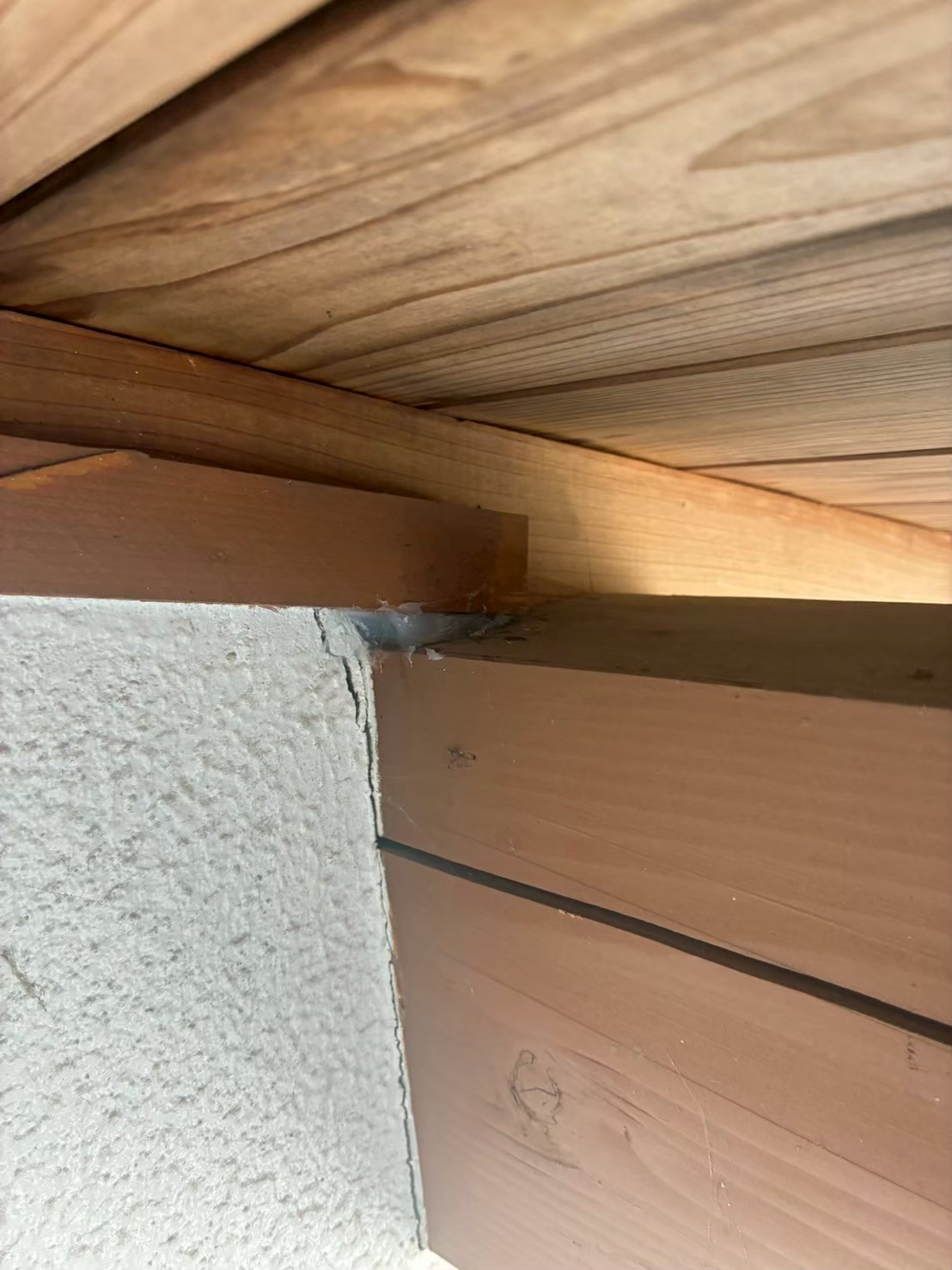 福岡県福岡市　ネズミによる被害　H様邸　駆除実績