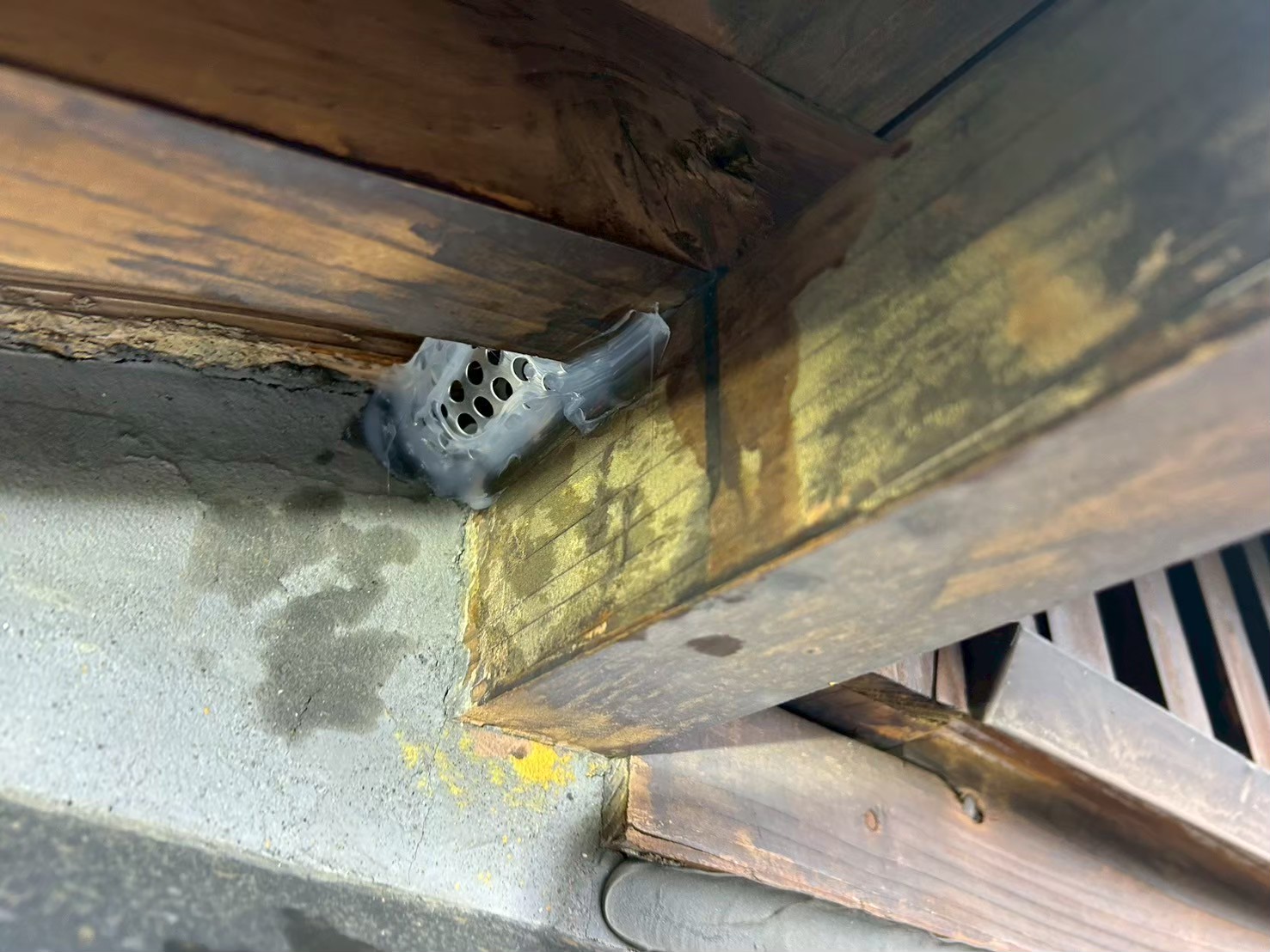 大分県大分市　アライグマによる被害　T様邸