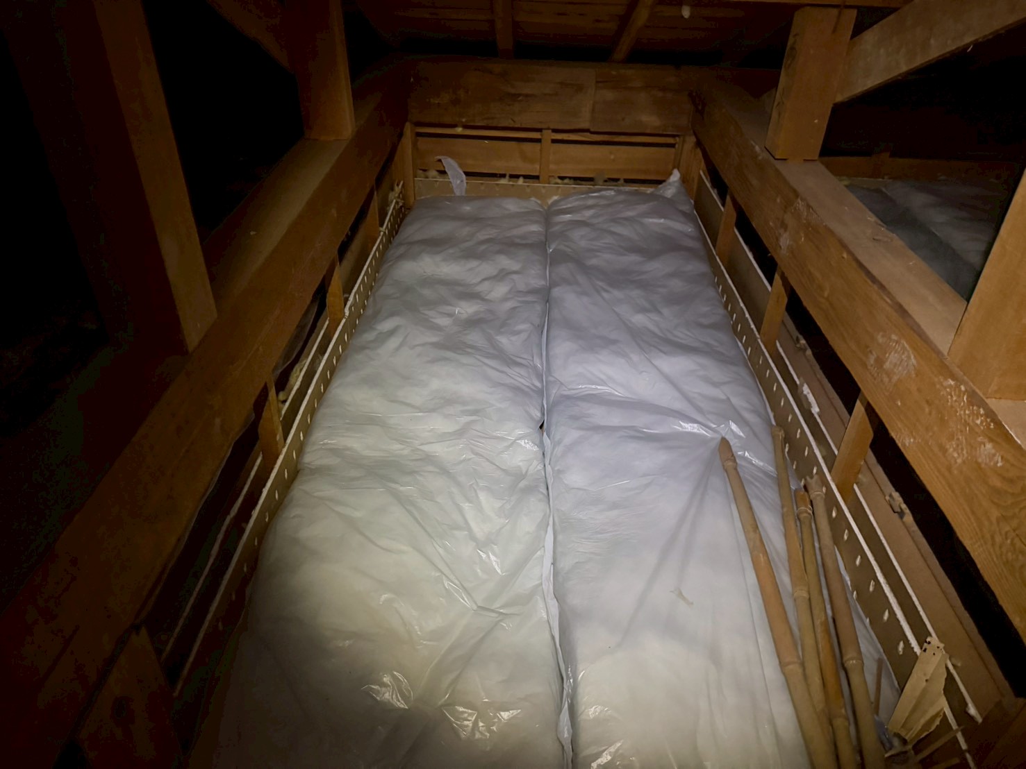 熊本県八代市　アライグマによる被害　M様邸　駆除実績