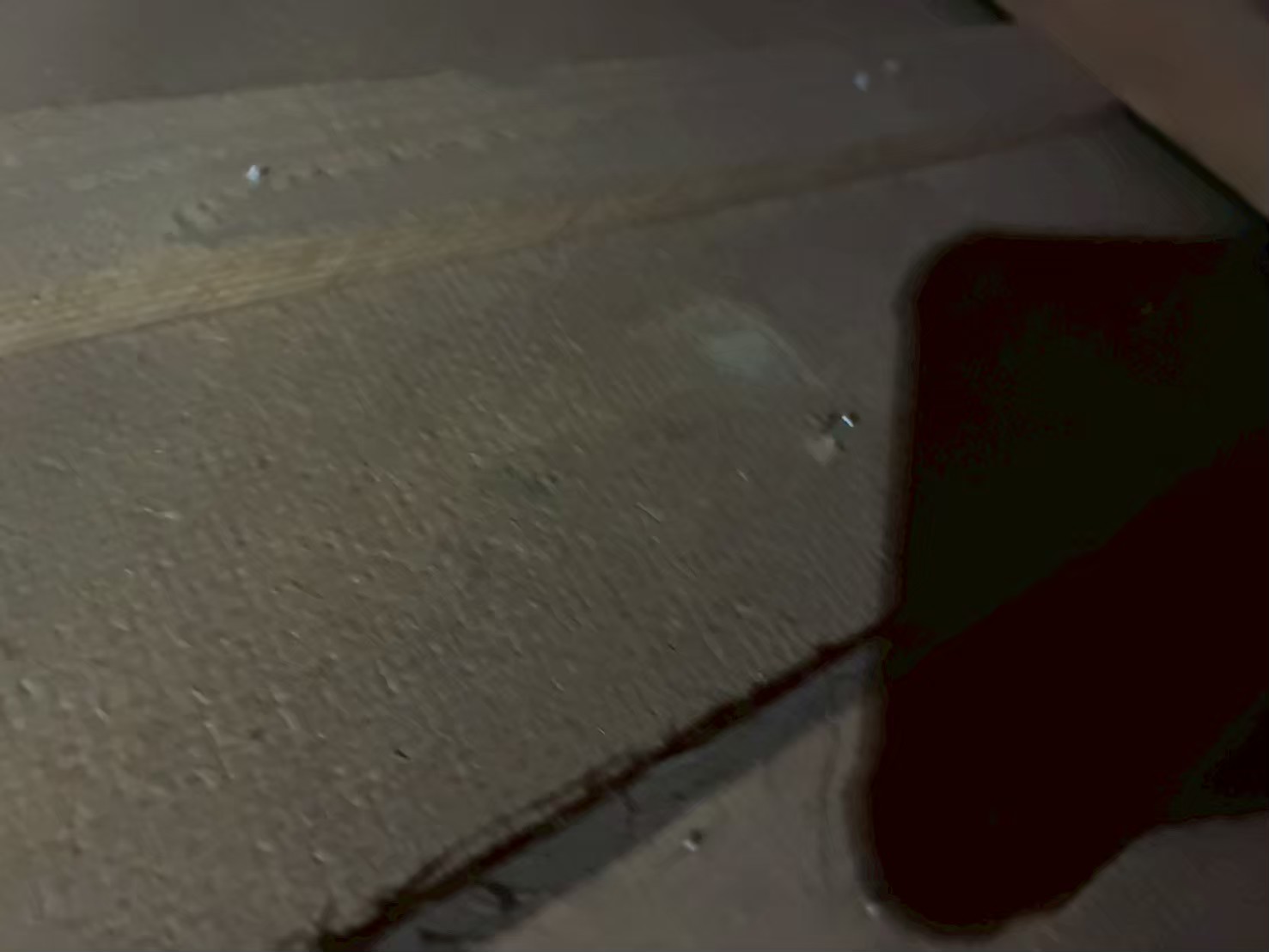 長崎県長崎市　イタチによる被害　T様邸　駆除実績