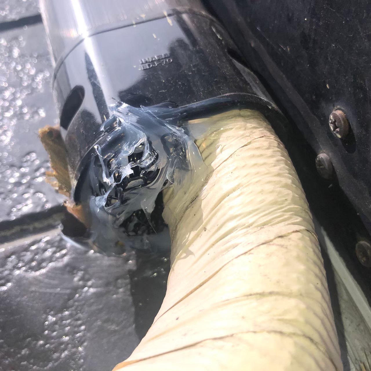 山口県宇部市　ネズミによる被害　M様邸　駆除実績