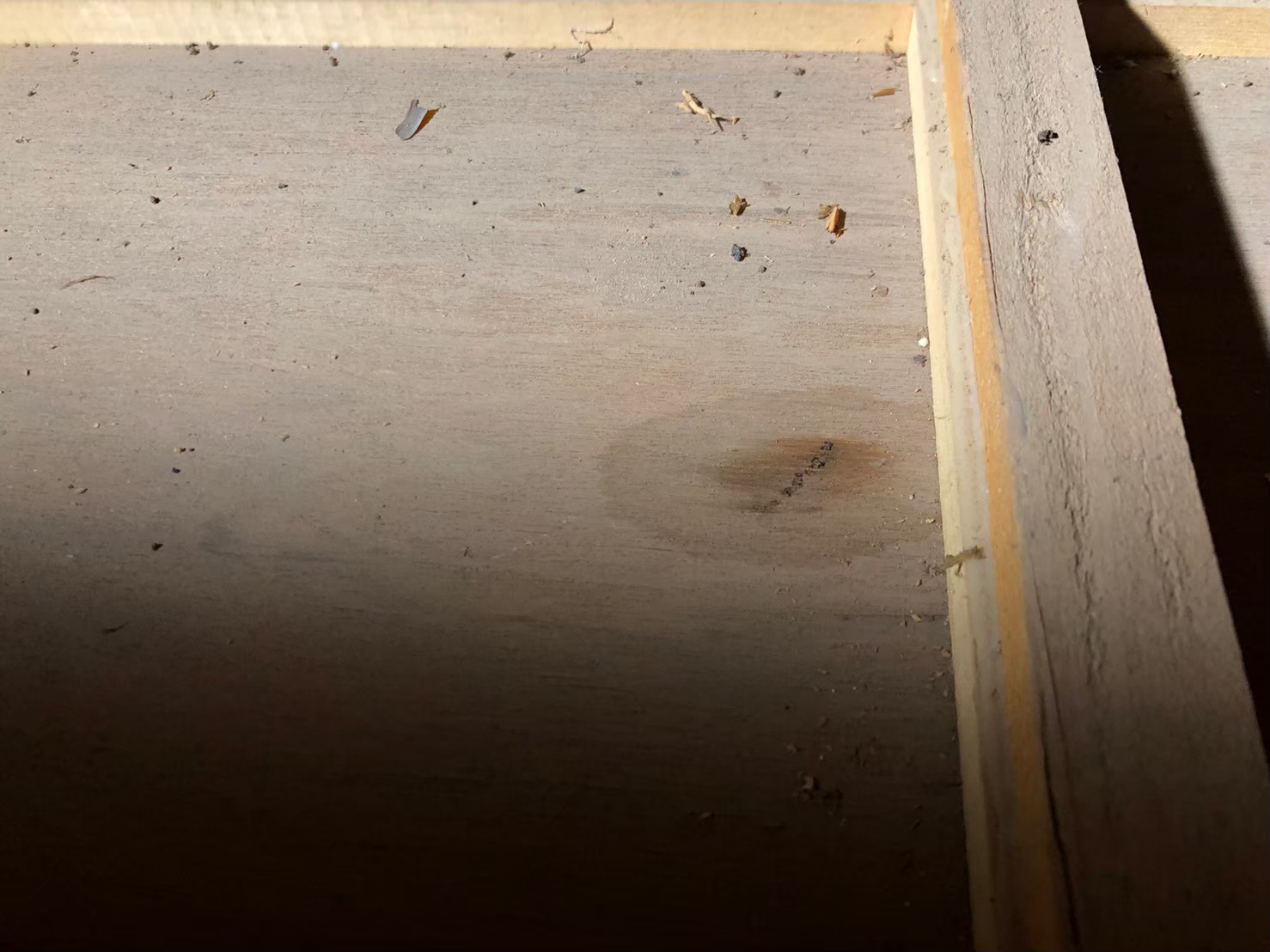 熊本県人吉市　イタチによる被害　S様邸　駆除実績