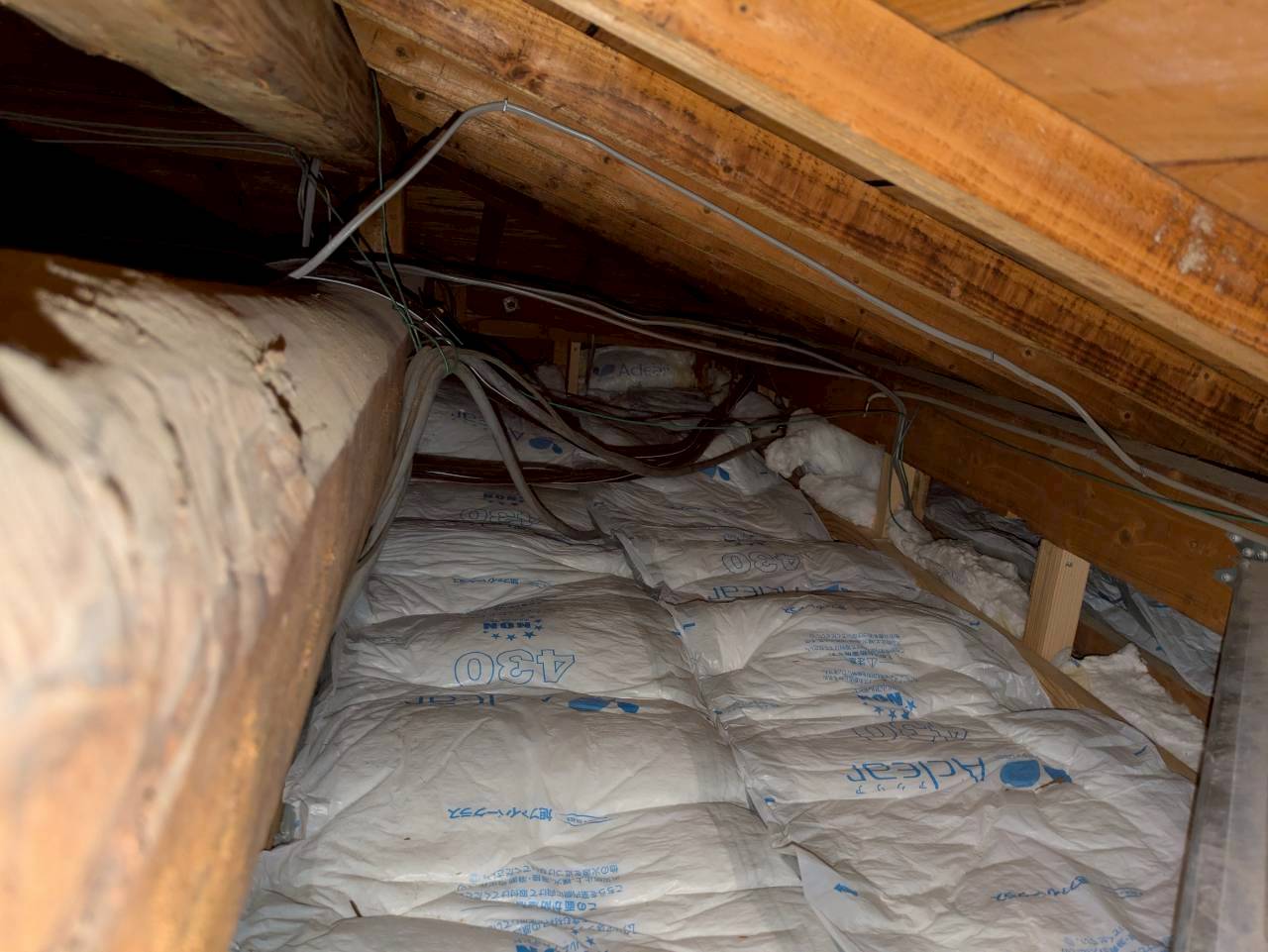 長崎県雲仙市　アライグマによる被害　S様邸　駆除実績