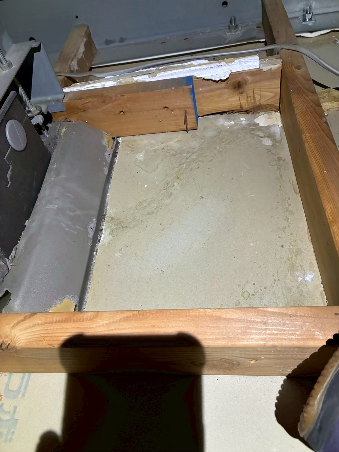 熊本県上天草市　イタチによる被害　H様邸　駆除実績