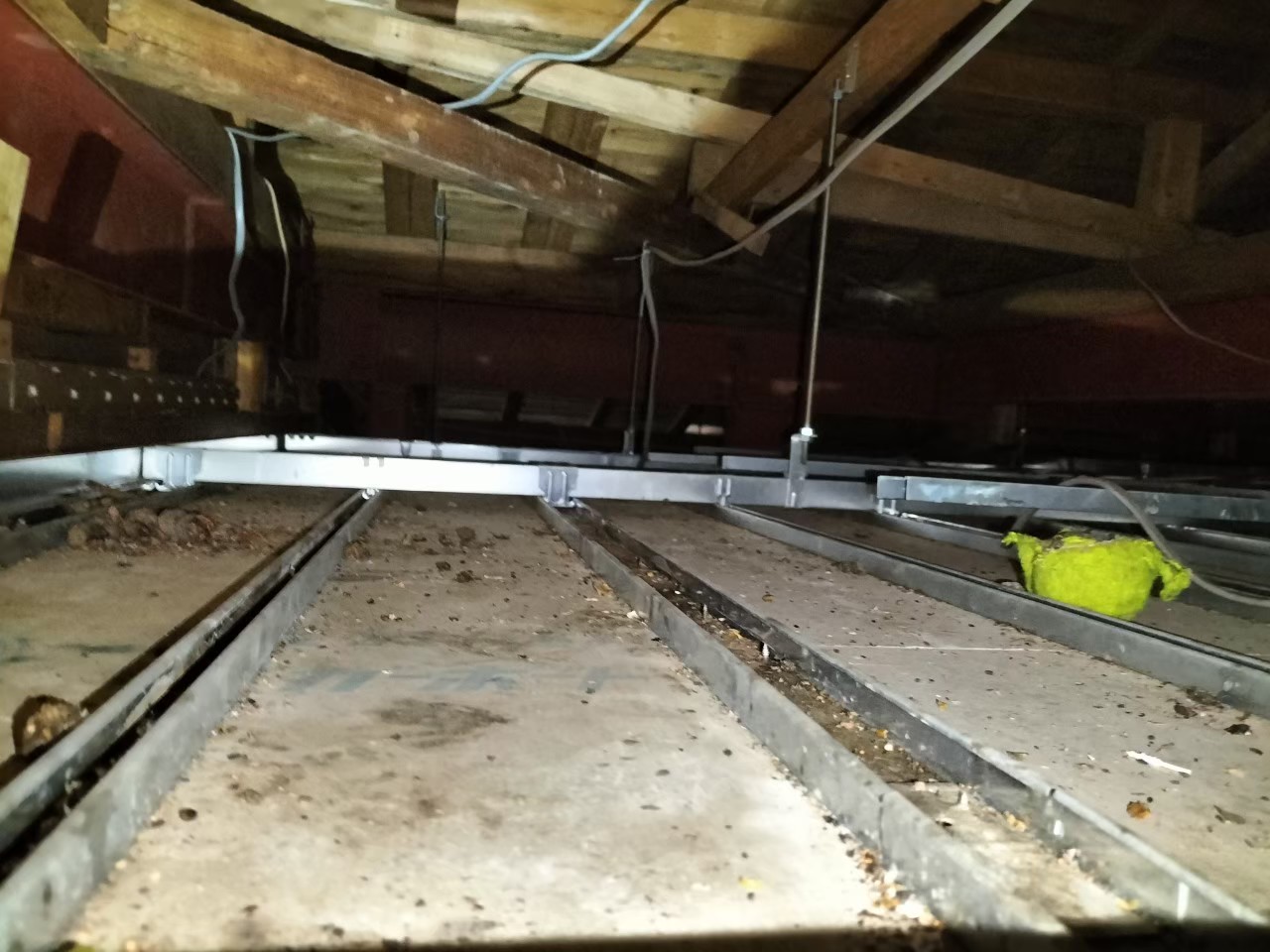 長崎県大村市　アライグマによる被害　Y様邸　駆除実績