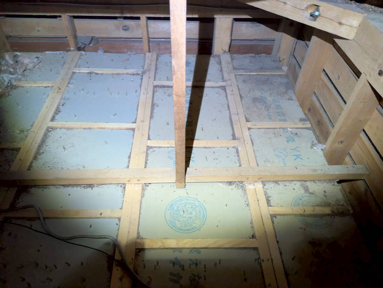 長崎県川棚町　アライグマによる被害　U様邸　駆除実績