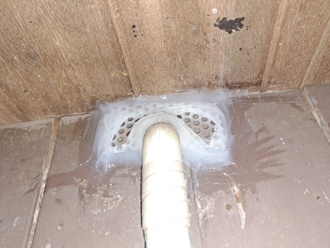 長崎県諫早市　アライグマによる被害　N様邸　駆除実績