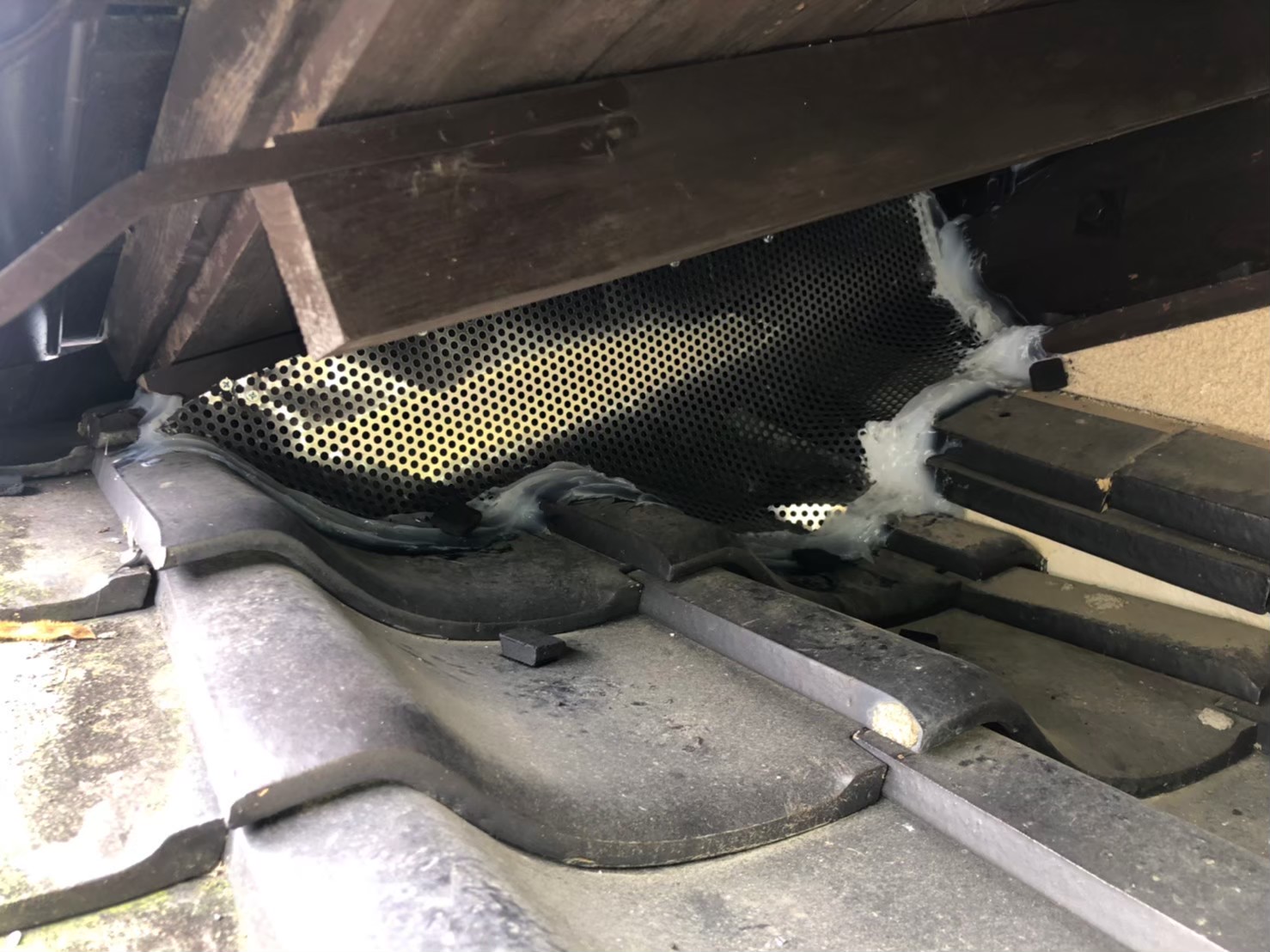 イタチ・ネズミによる被害　M様邸　駆除実績