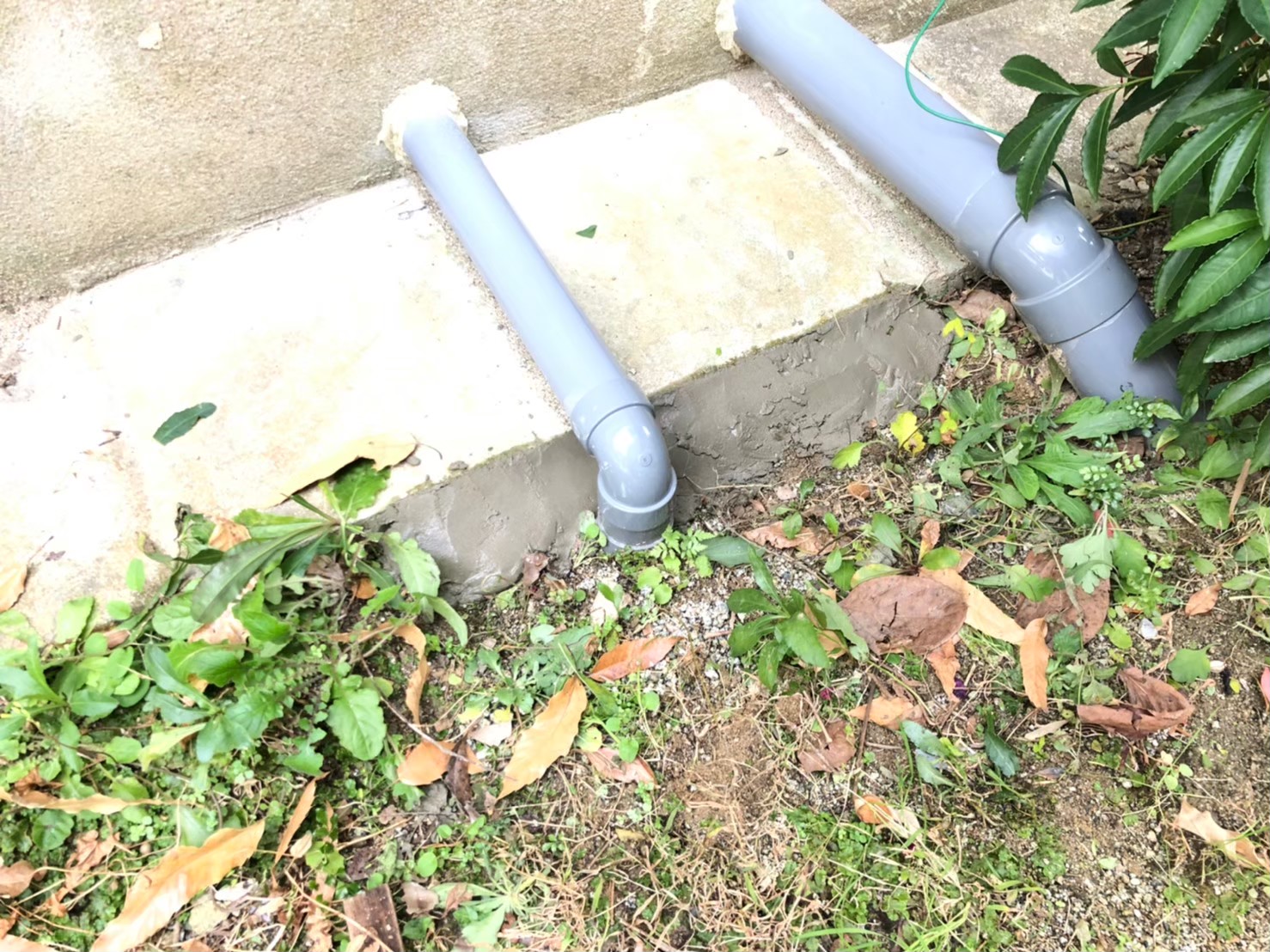 ネズミによる被害　K様邸　駆除実績