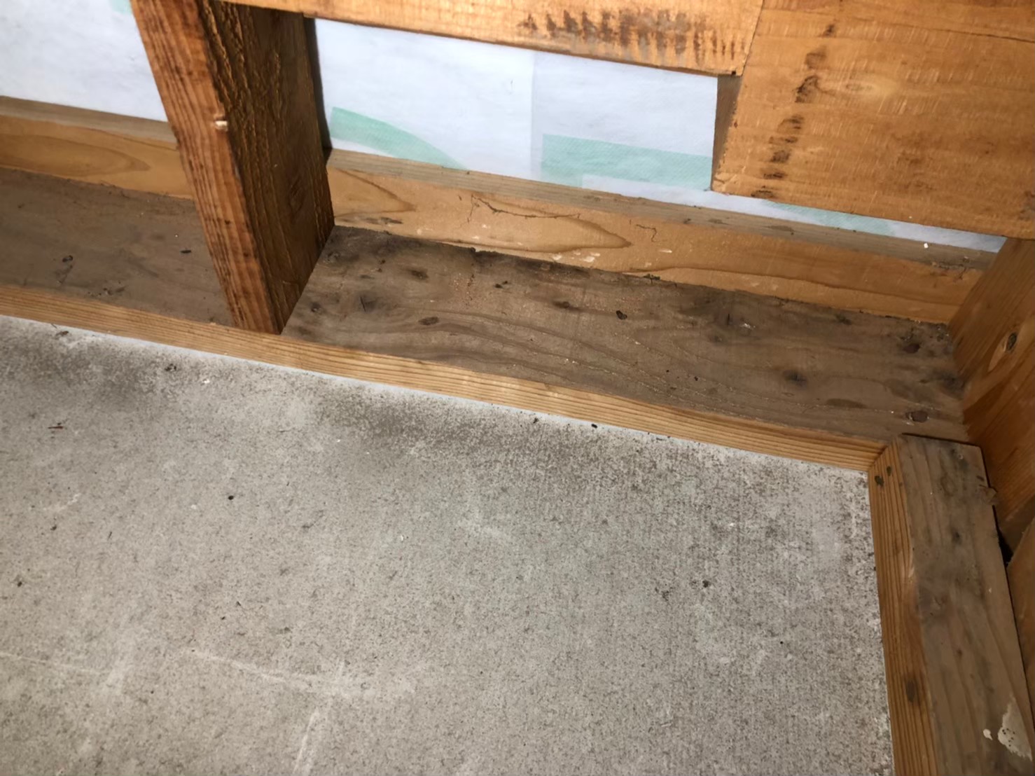 福岡県田川市　ネズミによる被害　H様邸　駆除実績