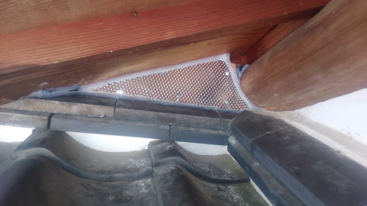 佐賀県鳥栖市　アライグマによる被害　Y様邸　駆除実績