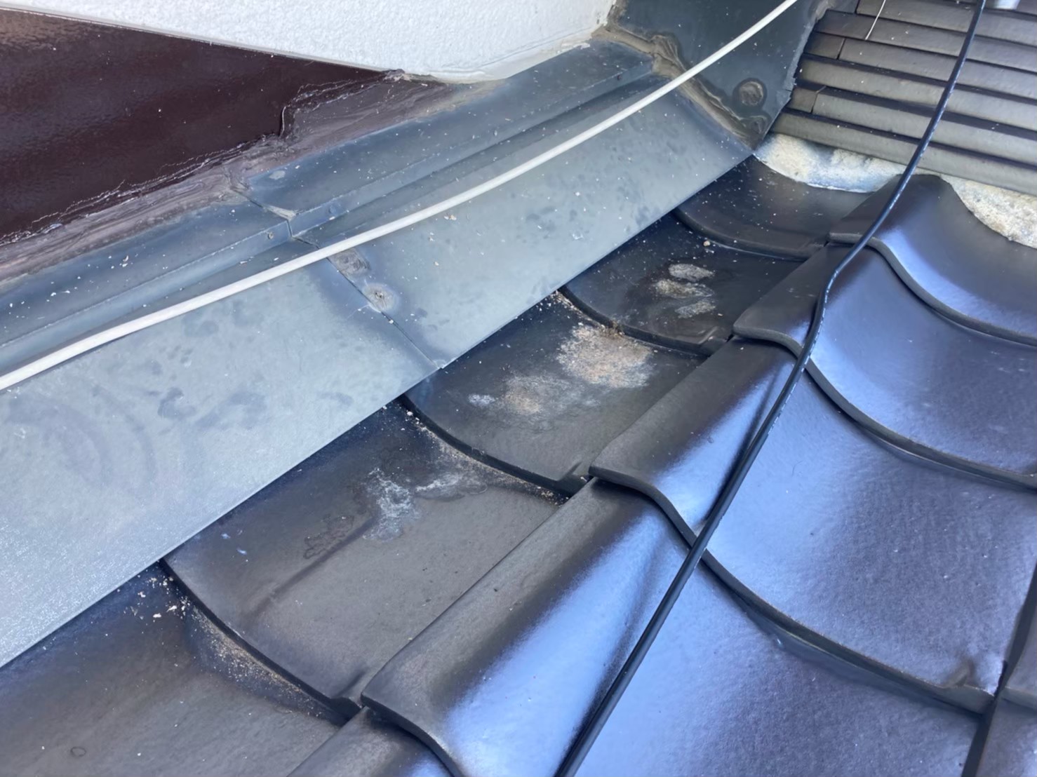 ハクビシンによる被害　F様邸　駆除実績