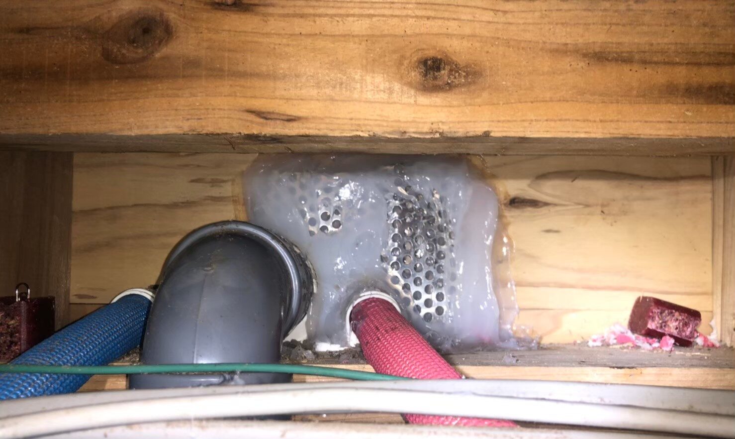 福岡県大牟田市　ネズミによる被害　N様邸　駆除実績