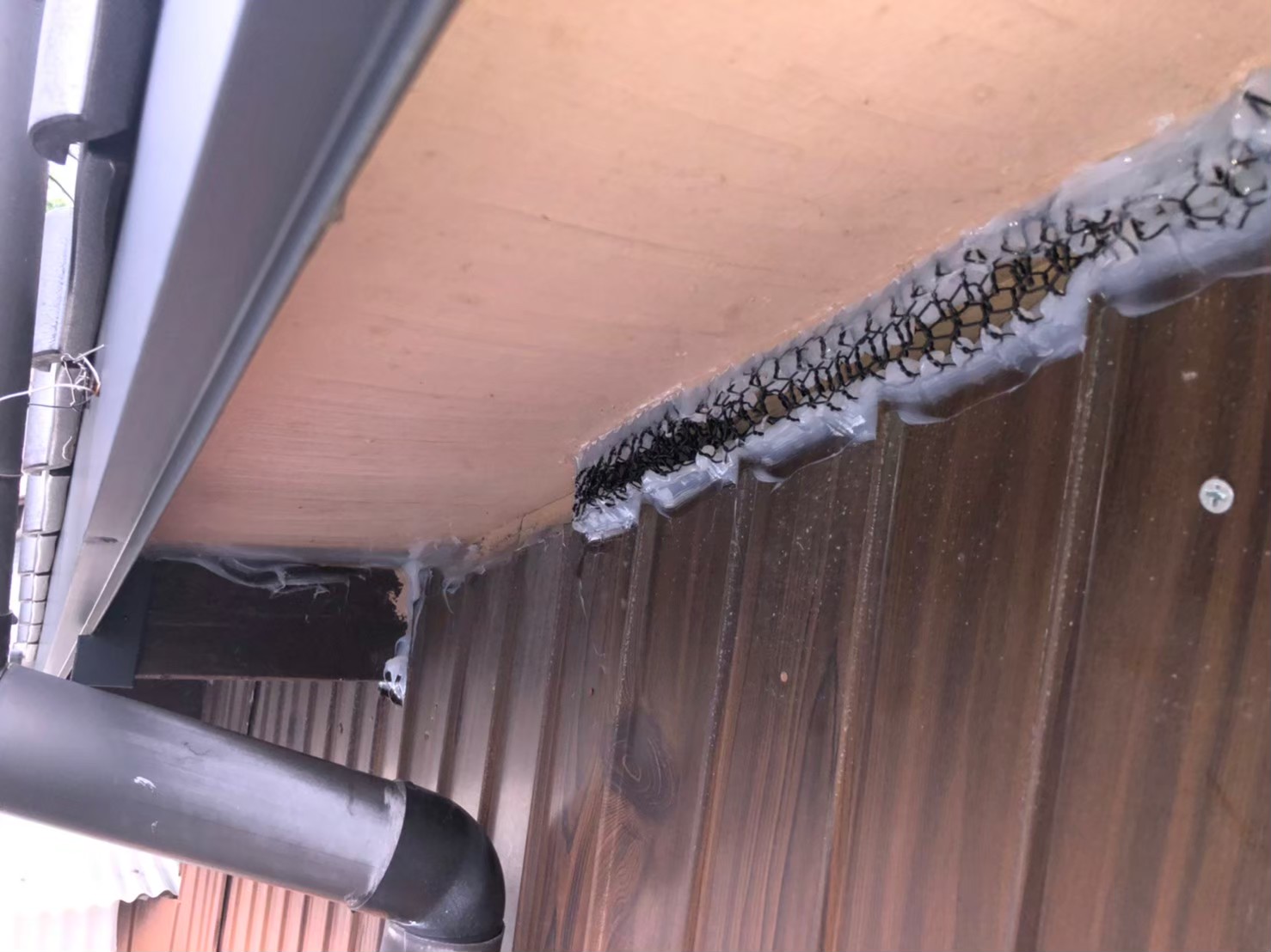 佐賀県唐津市　イタチによる被害　M様邸　駆除実績